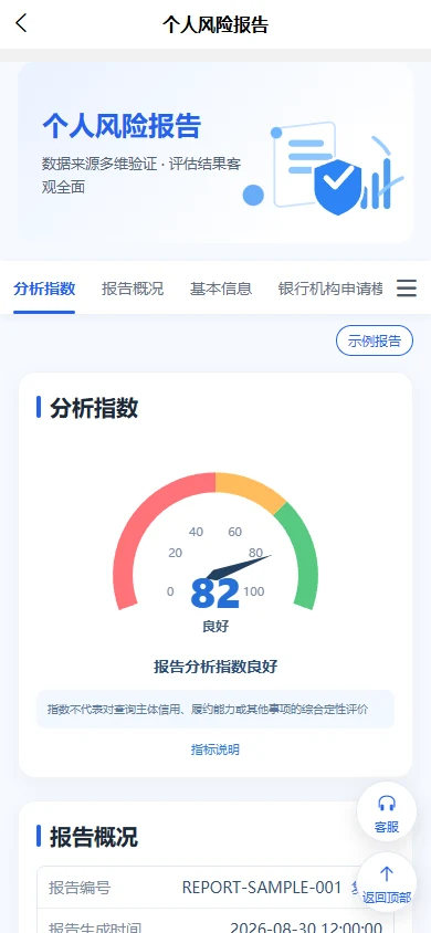 个人风险示例报告,展示分析指数与报告概况