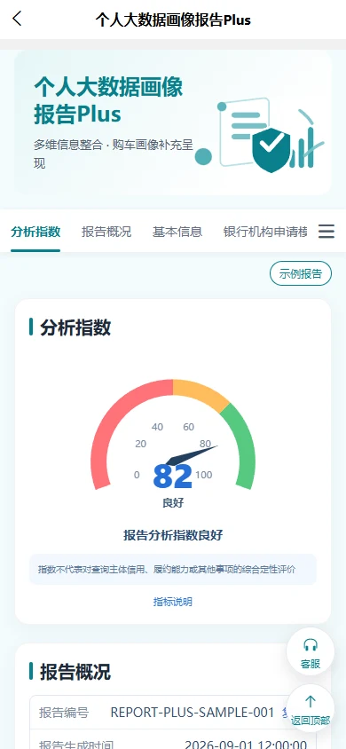个人 Plus 示例报告页面